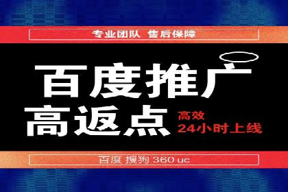 搜索引擎营销（SEM）成功案例详解