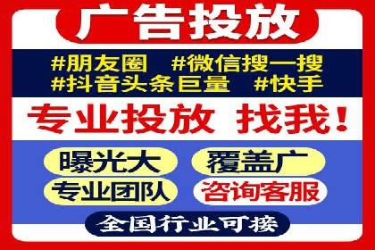 成功SEM服务案例分析报告